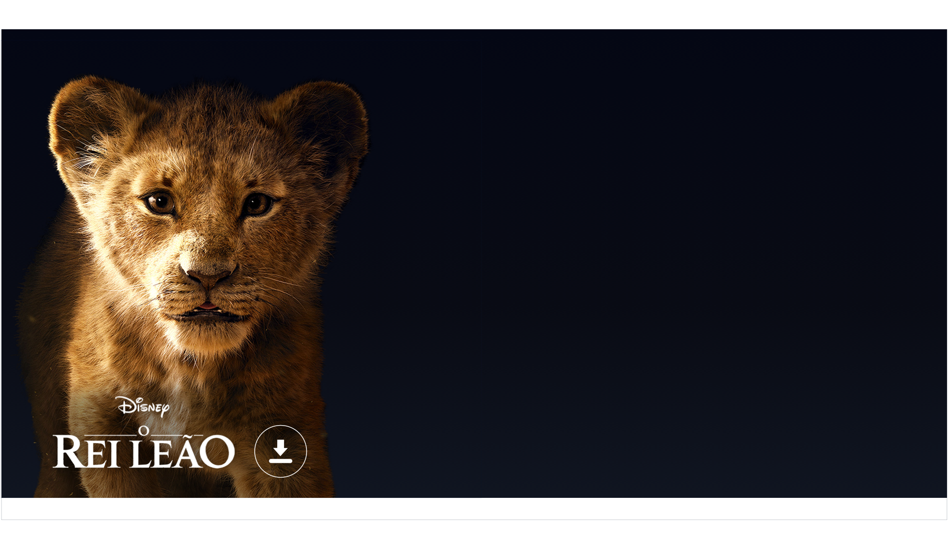 Rei leao banner